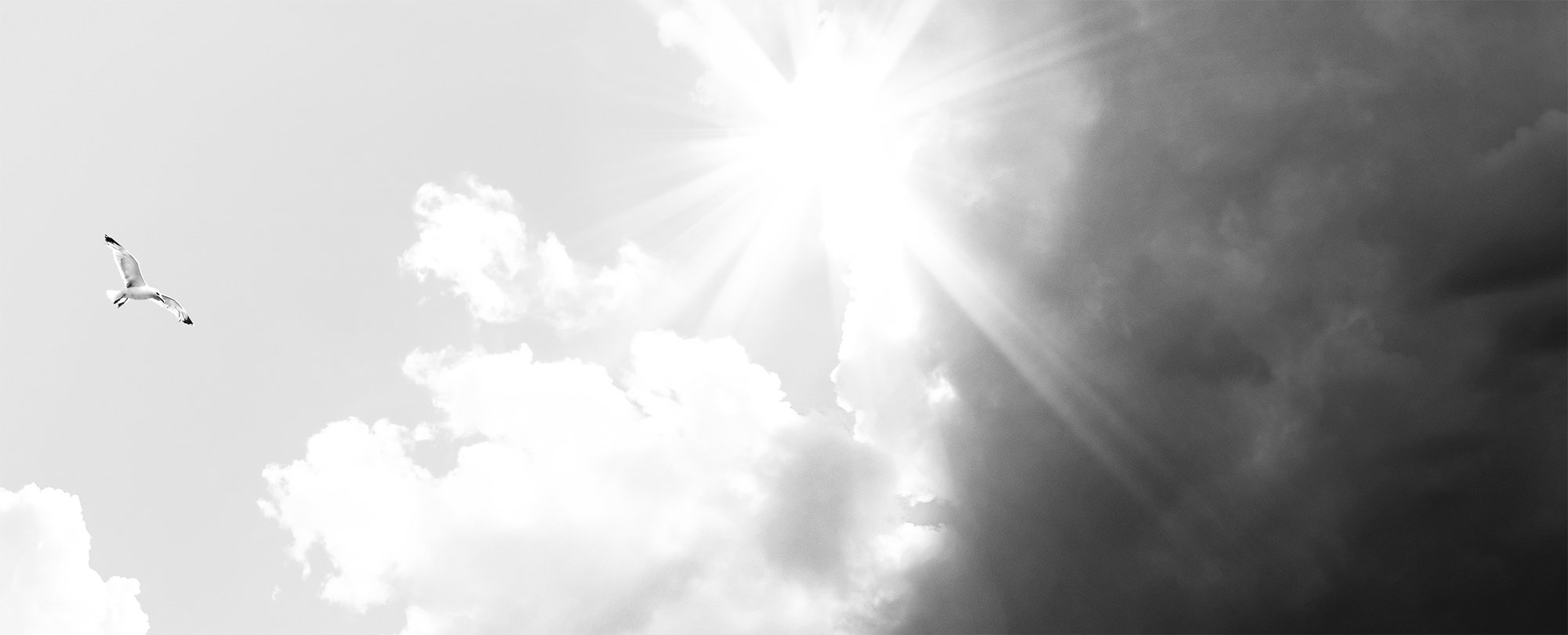 Netrics_Wolken_RGB_bw_2160x875