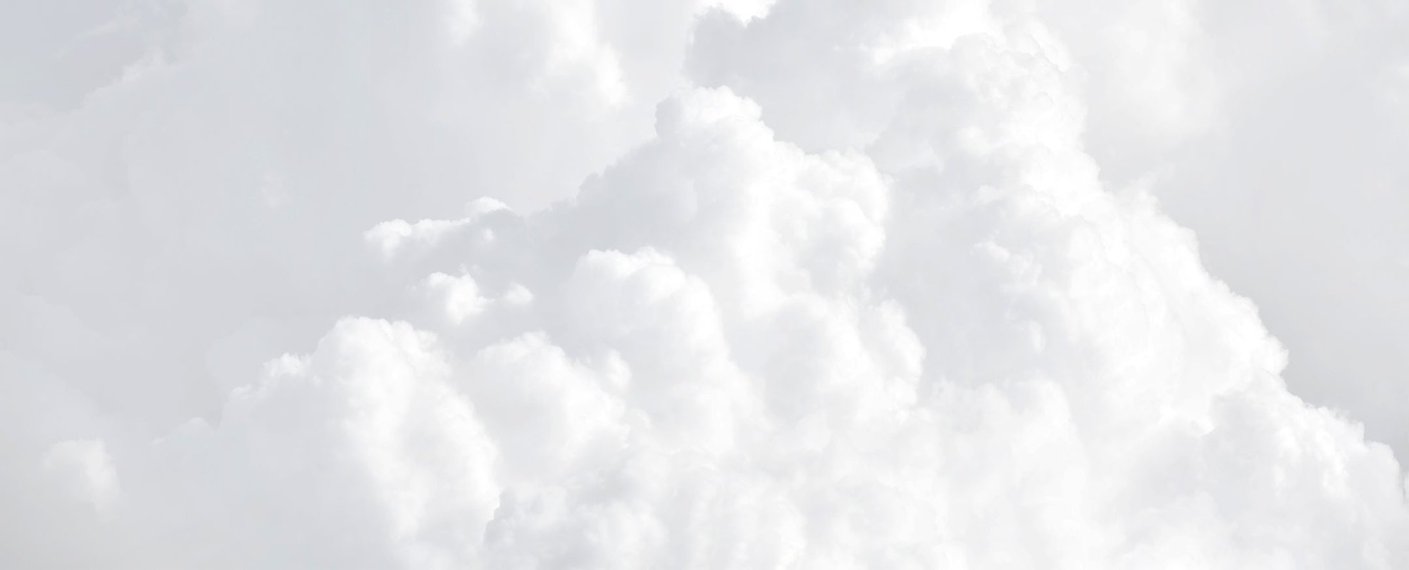 Netrics_Hybrid-Cloud_Pillar-Page_03