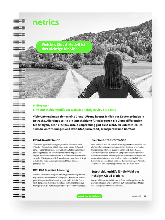 netrics-whitepaper-entscheidungshilfe-cloud-modell-mockup-sheet