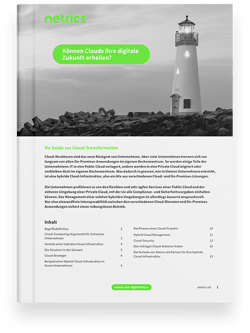Netrics_hybrid-cloud_mockup-1