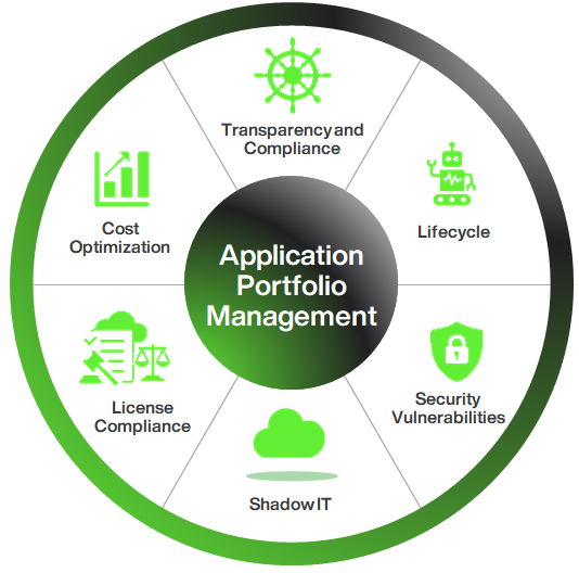 Application Portfolio Management