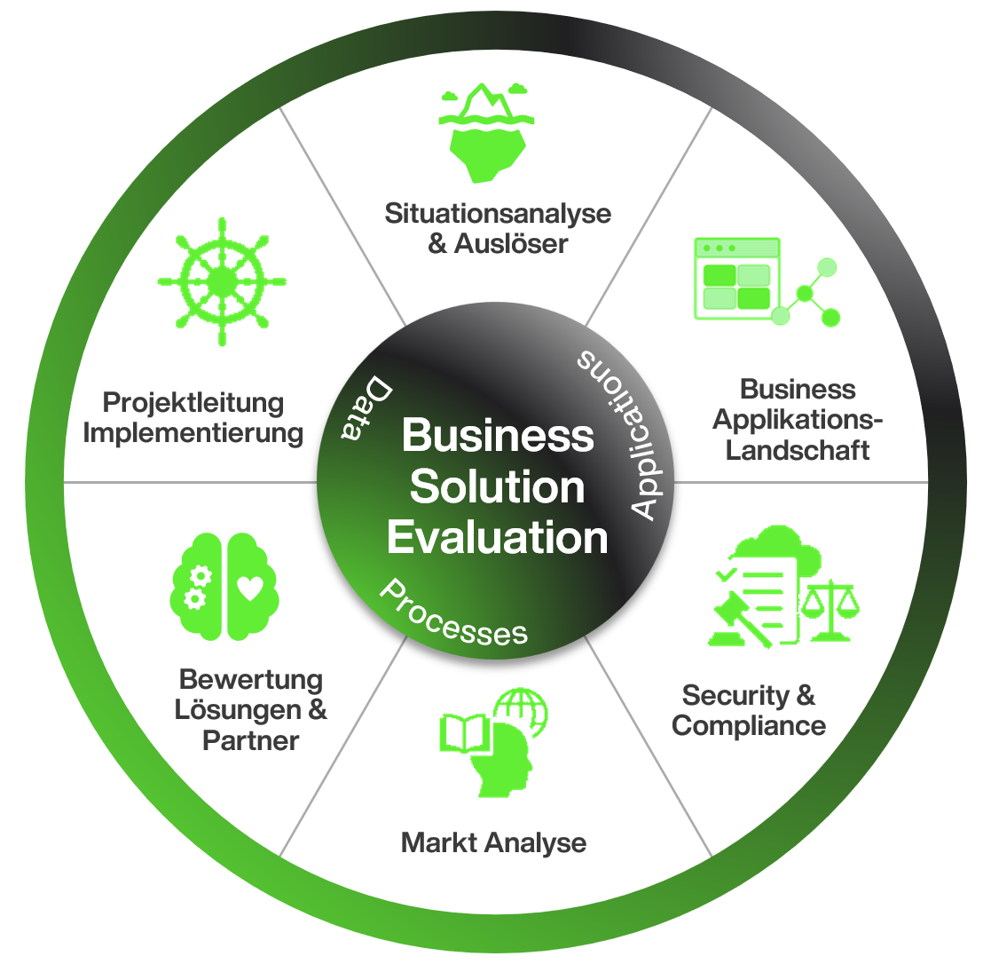 BusinessSolutionEvaluation (1)