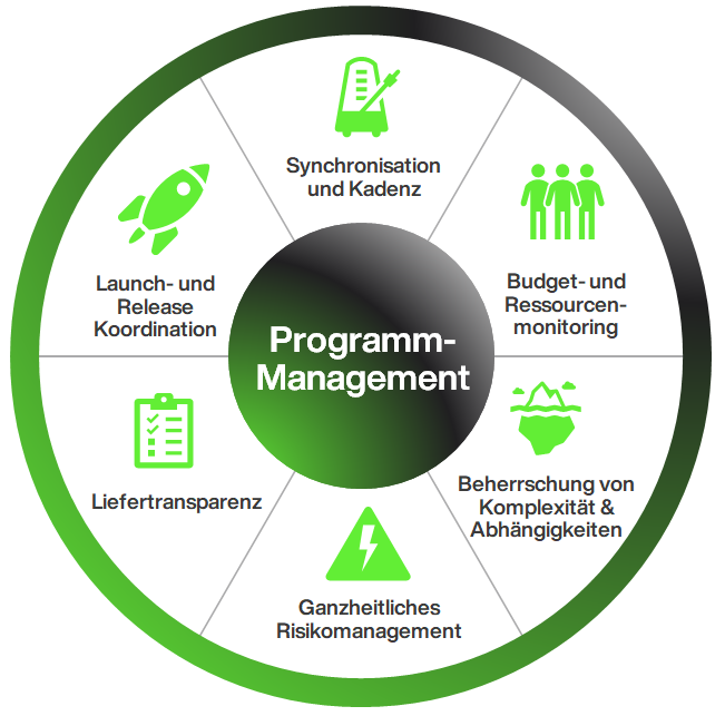 Programm-Management